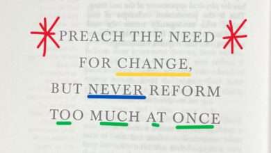 Preach The Need For Change, But Never Too Much At Once